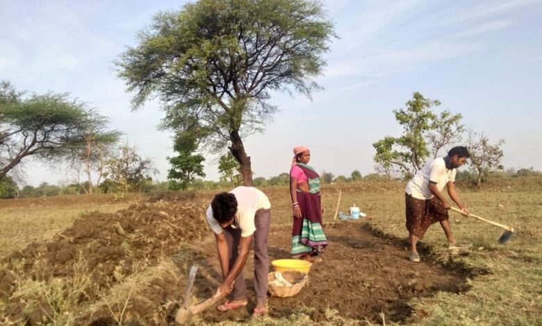 Farm labours